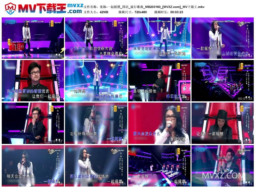 张姝-一起摇摆_国语_流行歌曲_MB203160